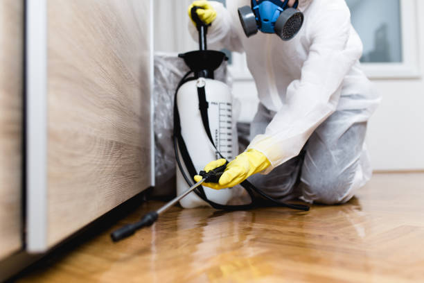 Best Mosquito Control Services  in Isle Of Palms, SC