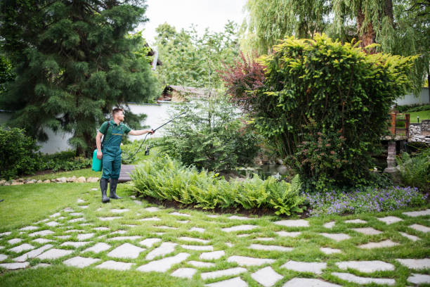 Best Best Pest Control Companies  in Isle Of Palms, SC