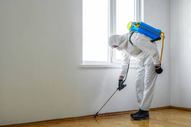 Isle Of Palms, SC Pest Control Company