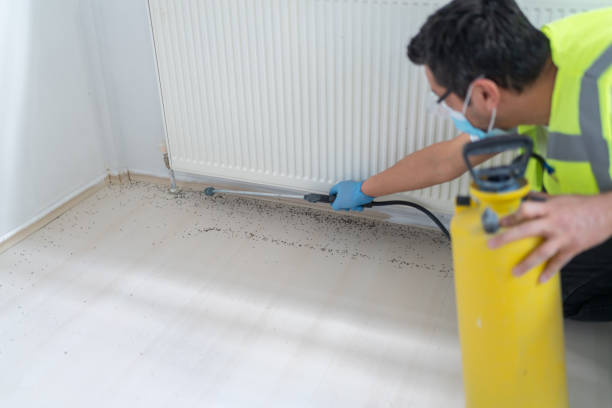 Best Residential Pest Control  in Isle Of Palms, SC