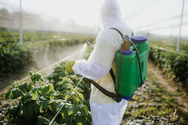 Best Insect Control  in Isle Of Palms, SC